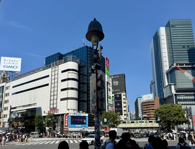 人と車の流れが入り乱れるエリア：渋谷駅周辺、道玄坂、表参道、恵比寿駅周辺など