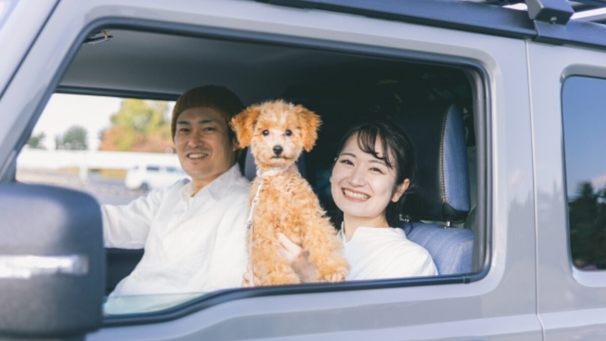ペットとドライブ