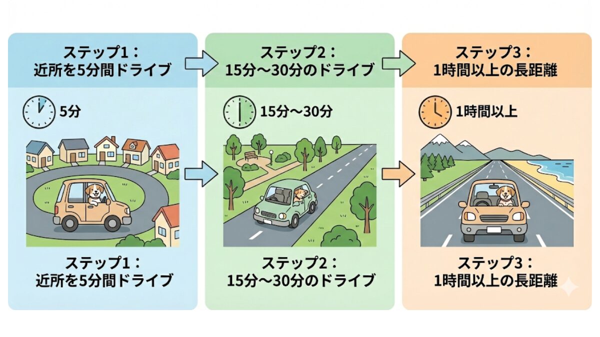 ペットと安心してお出かけするためのステップ