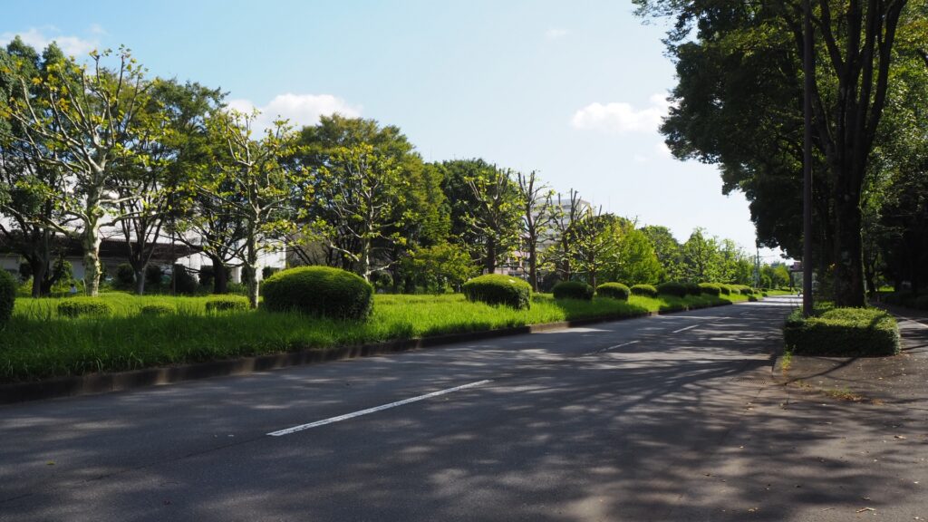 【🔰初級向け】東平尾公園駐車場付近〜住宅街エリア