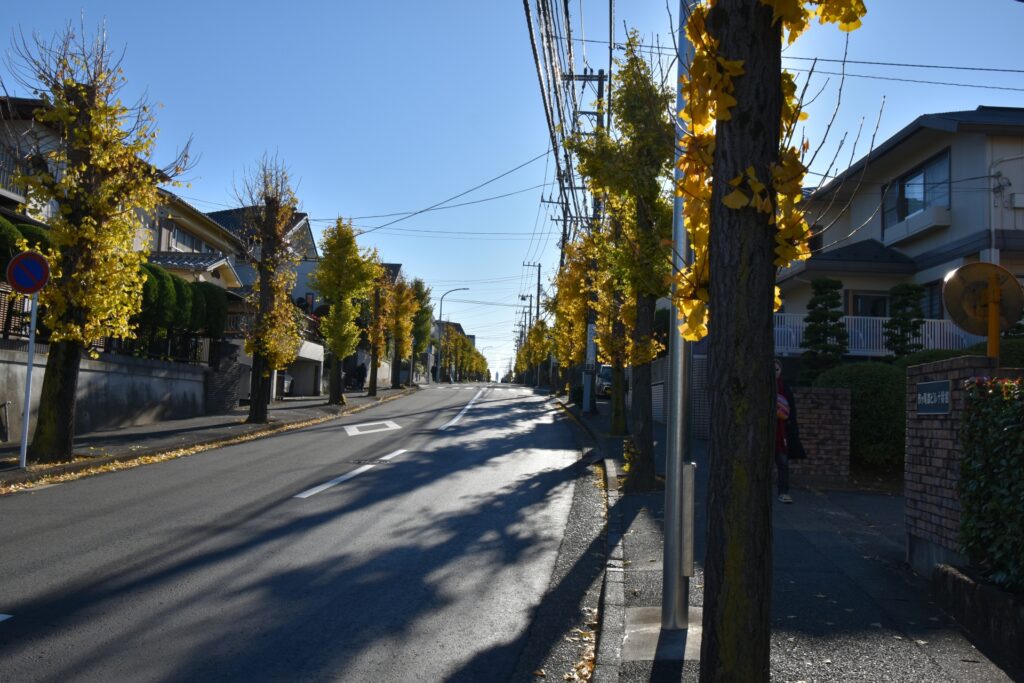 【🔰初級向け】槇塚台〜御池台（生活道路）エリア
