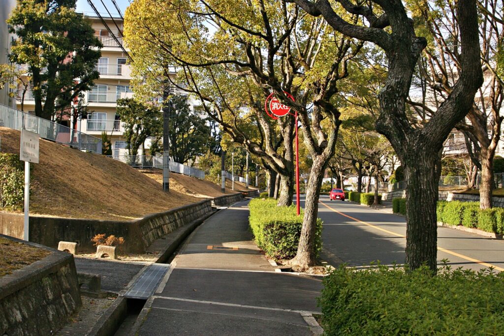 藤白台〜南千里(生活道路)エリア