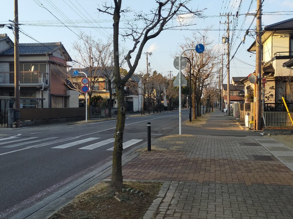 さつき野〜平尾（生活道路）エリア
