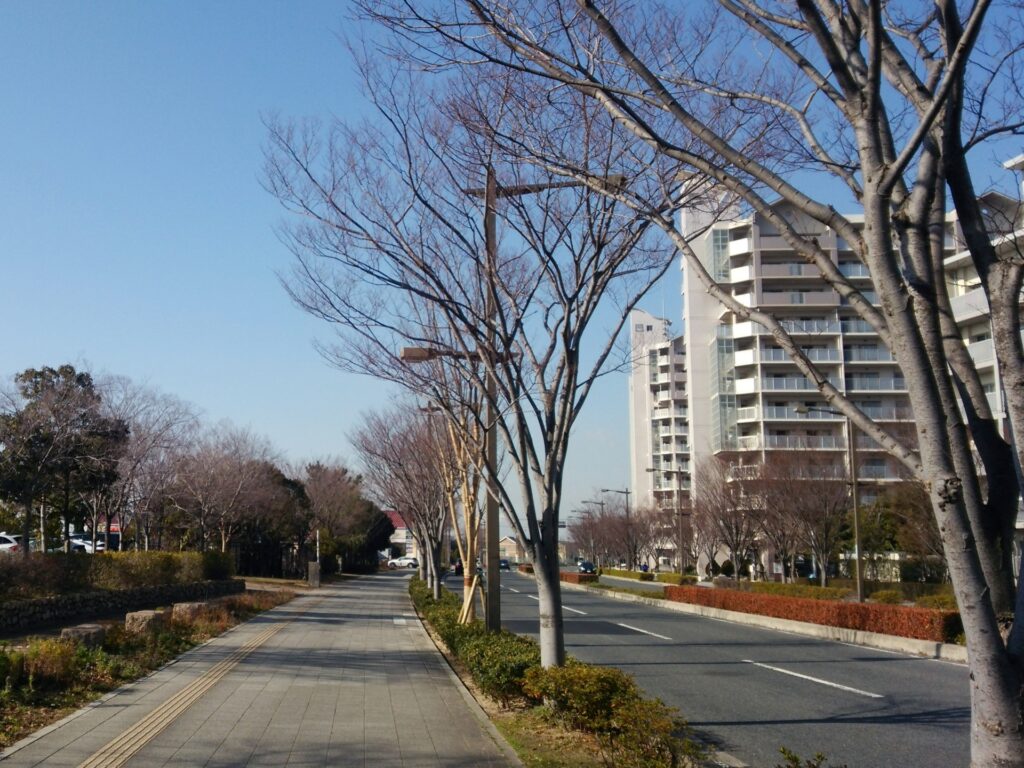 【🔰中級向け】国道43号線〜南芦屋浜（潮芦屋）周辺のイメージ