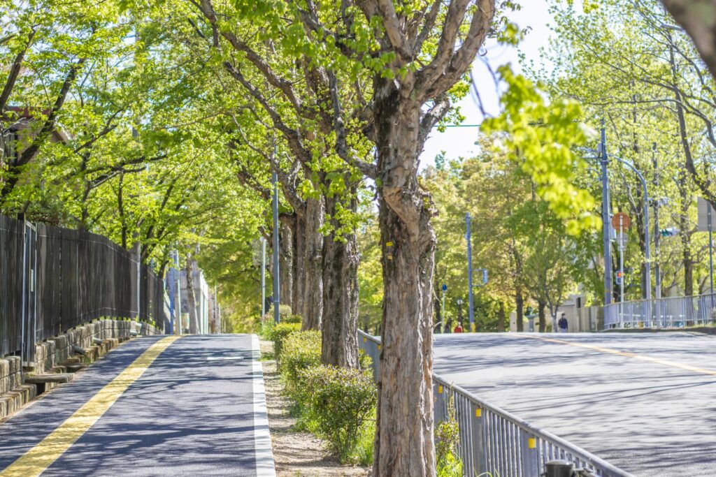 【🔰初級向け】日生中央周辺〜住宅街エリアのイメージ